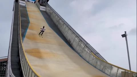 professional skateboarder