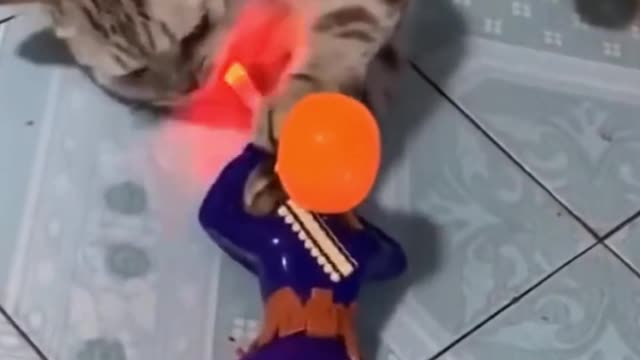 Cat in Fortnite-like #funny #video
