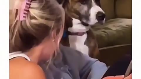😂🐾 Funniest Animal Moments - You Won't Stop Laughing! Part-17 part-7