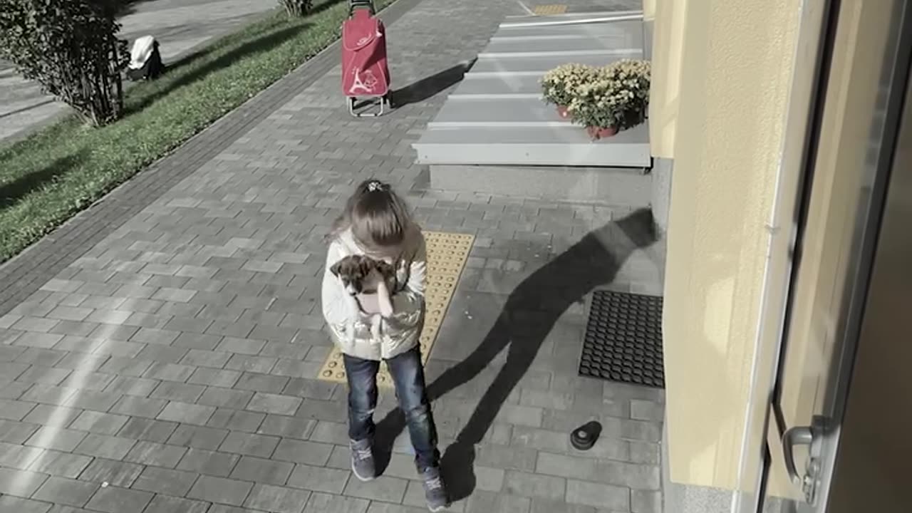 She rescued a dog and decided to take it to an Animal shelter