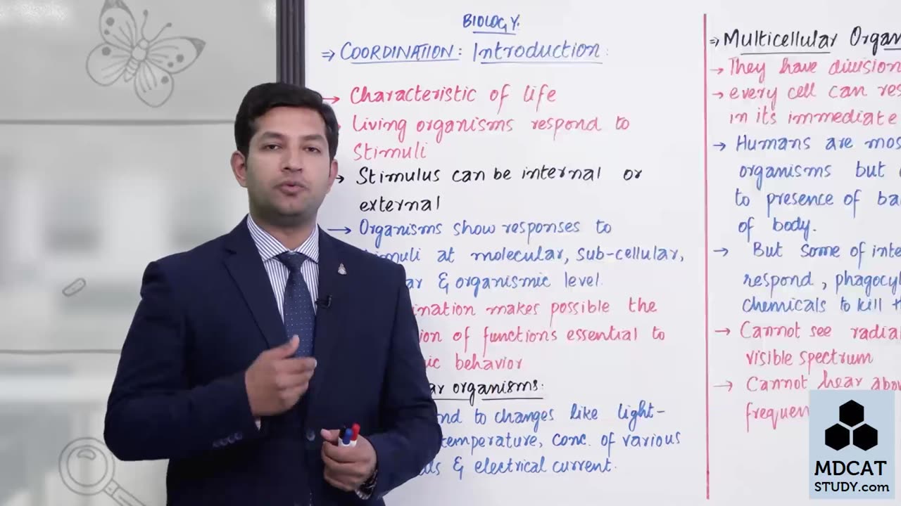 LEC#1 INTRODUCTION nervous system