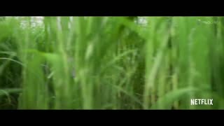 In the Tall Grass movie Trailer