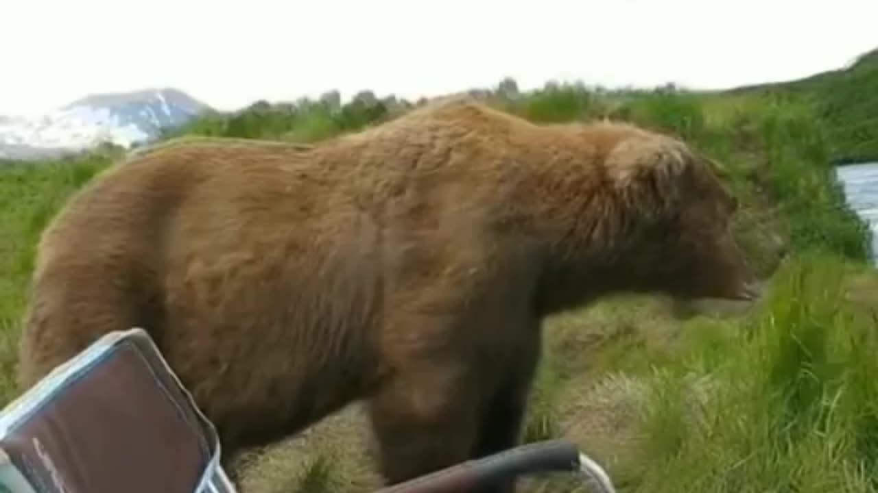 Decided to check how the fishing is going