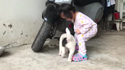 Gia đình chó