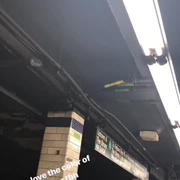 Gotta love the color of the water tbh water leaks into bucket