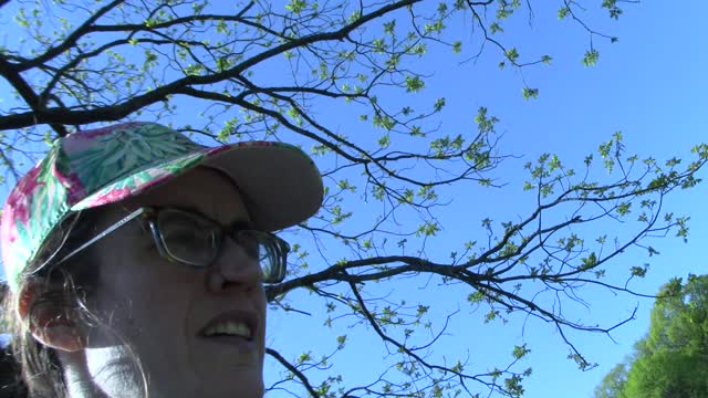 sing the Lord a new song (featuring Psalms#95/96)