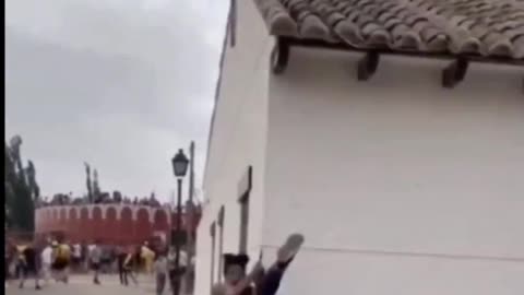 The bull an the idiot
