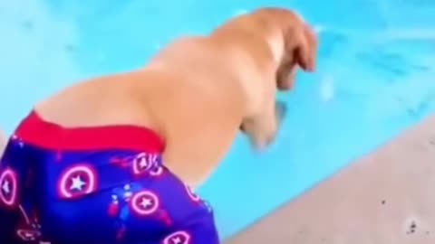 Funny Animals - Best Of The 2022 Funny Cats And Dogs Reaction Videos #13