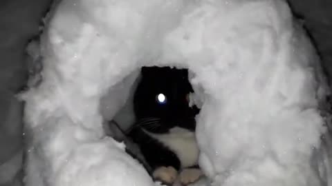 kitty in a rocket made of snow