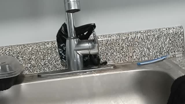 Fauci: Some Americans may need COVID-19 vaccine booster