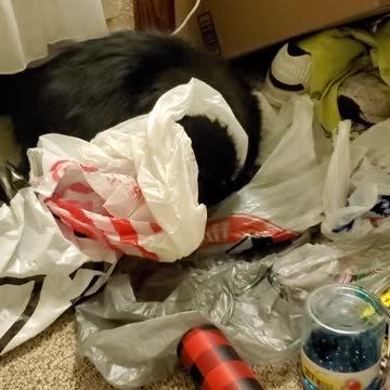 Don't drink and Santa