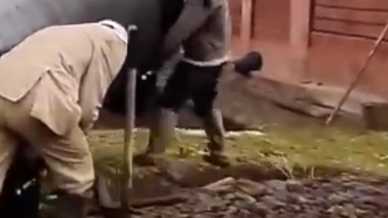 Septic Tank