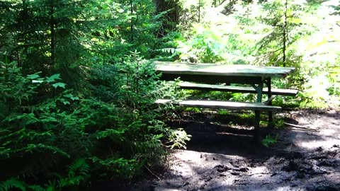 Picnic Table