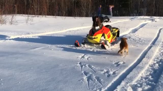 Snowmobile Scorpion Flip Fail