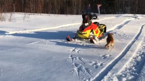 Snowmobile Scorpion Flip Fail