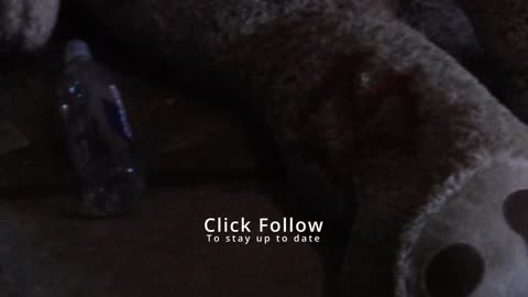 Urban Adventures | Abandoned St Louis MO School: Carr School