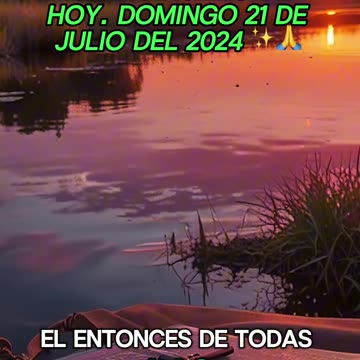 🙏✨Evangelio de HOY. Domingo 21 de Julio del 2024 ✨🙏