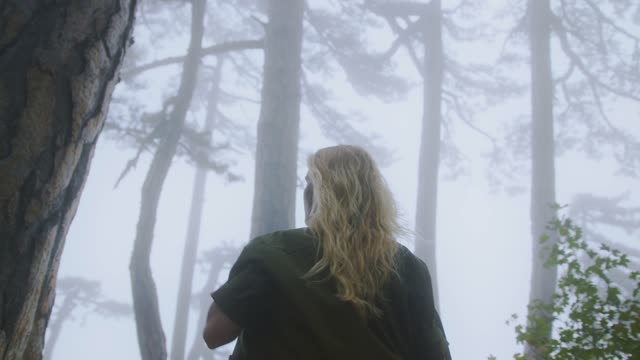 Low Angle Shot of a Woman Walking through Forest