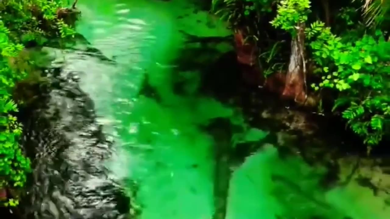 Serene Water Fountain Amidst the Lush Forests of Sri Lanka