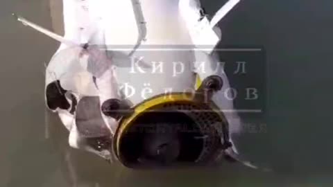 Ukrainian Neptune Missile Washes Up Along Sea of Azov