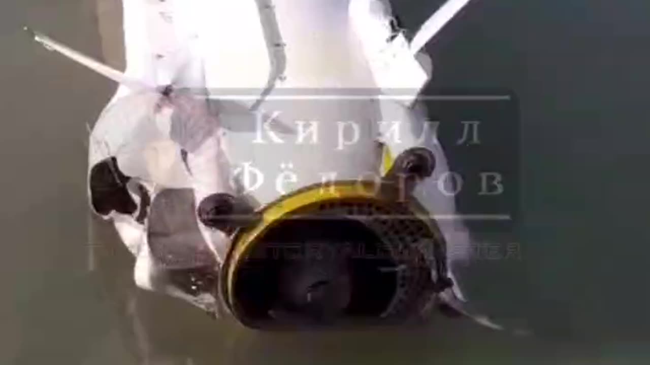 Ukrainian Neptune Missile Washes Up Along Sea of Azov