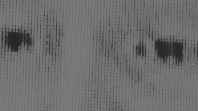 WTF ARE WE SEEING OR HEARING FOR that matter