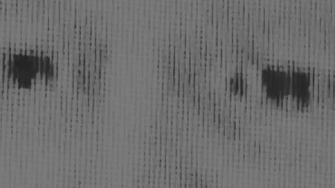 WTF ARE WE SEEING OR HEARING FOR that matter