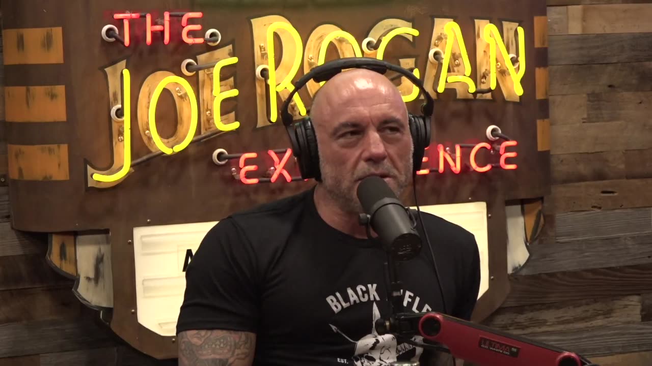 Joe Rogan Experience & Dave Smith