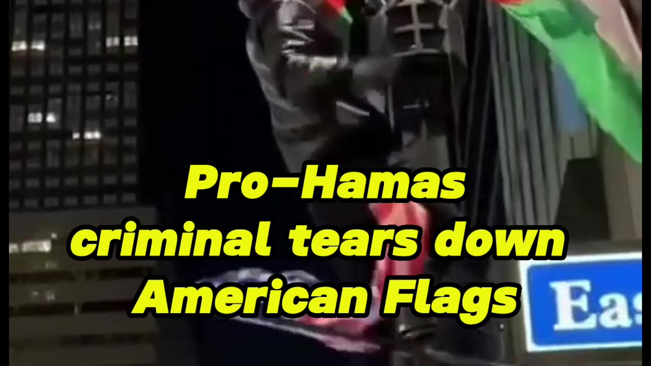 SAD: Pro-Hamas criminal tears down American Flags.