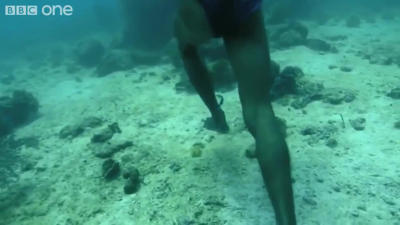 Under the water for 5 minutes