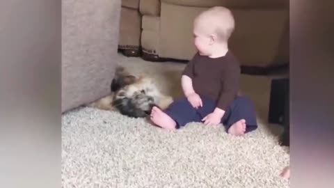 Dogs are the best friend of Babies 37