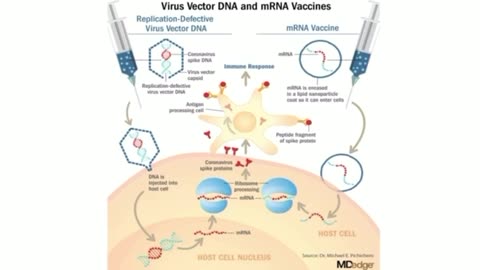 Dr Peter Mccullough Explains Why This Isn’t a Typical Vaccine