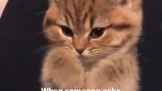 When Someone ask how Spending These Days