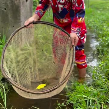 Farmer Lady Simple Life 😍 #farmer #rural