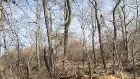 love the nature