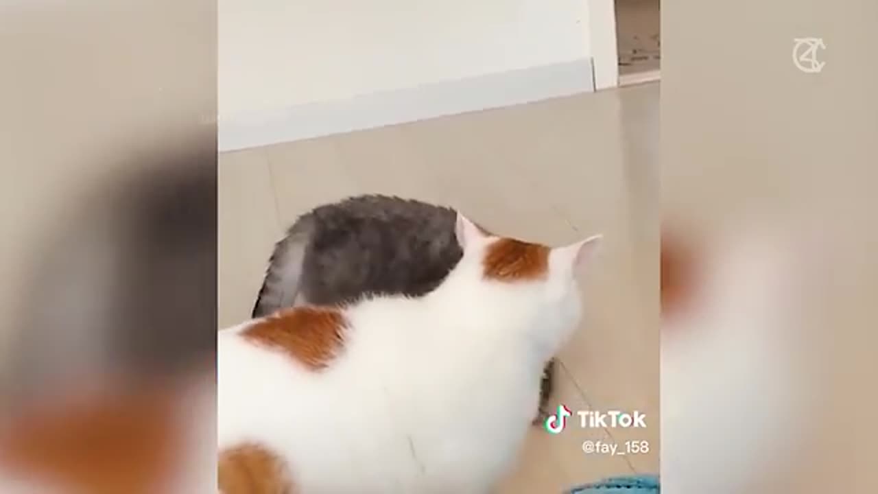 in this video we will show some happy moments and in this fanny video