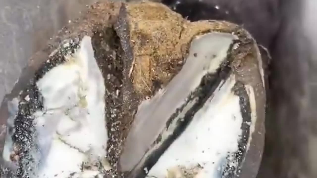 गजब के Satisfying Videos का तूफान 😍 - Amazing Satisfying Videos #shorts 0:50