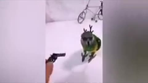 Do you like acting