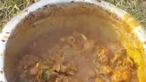 Country chicken curry making - how to cook masala chicken curry - #shorts #