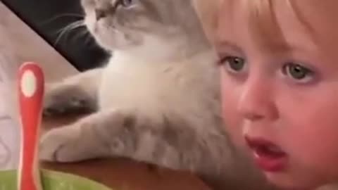 What greater gift than the love of a cat? funny cats compilation😂Try not laugh