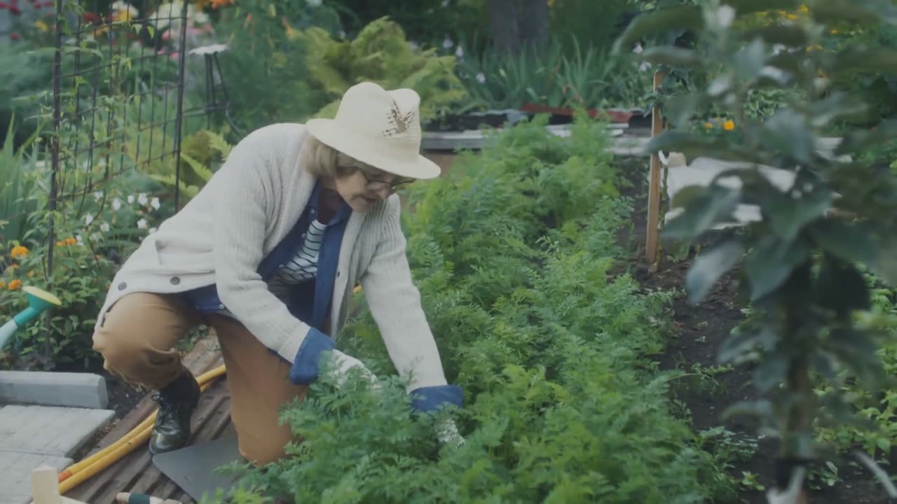 Raised Bed Gardening 101: A Beginner's Guide