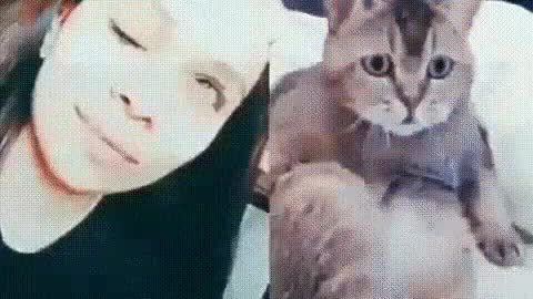 Didn't you see it?! You saw it!