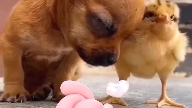 Best friends