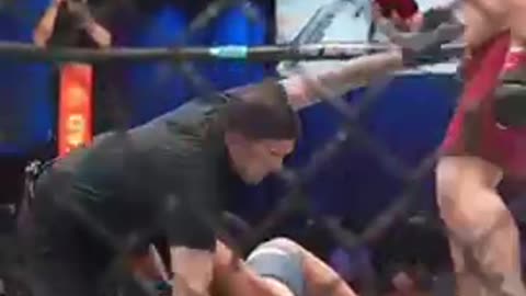 UFC fight