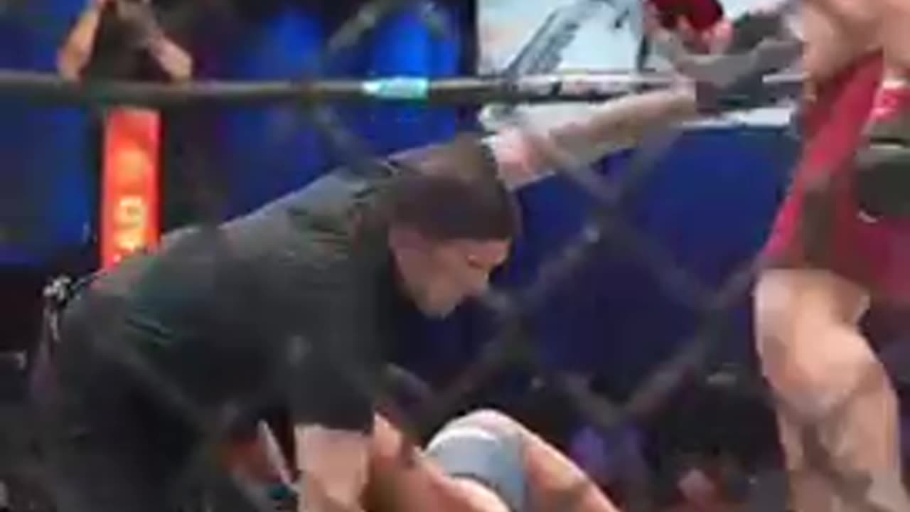 UFC fight