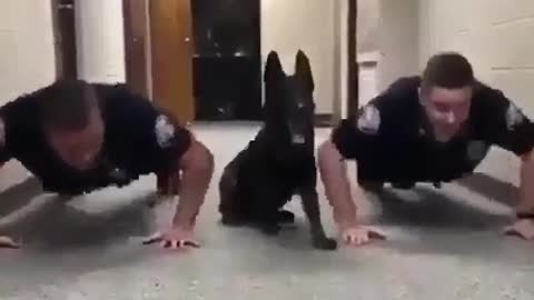 A dog leads a police squad of humans