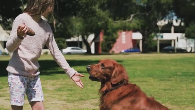 Dog And Cute Girl