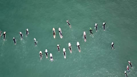 Surf Sea Ocean Wave Beach Water Surfing Travel