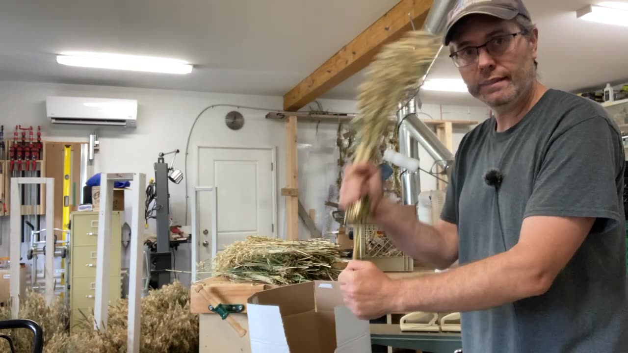 Harvesting and processing oats