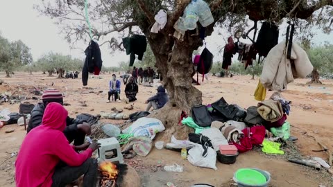 Migrants encamp in Tunisian olive fields